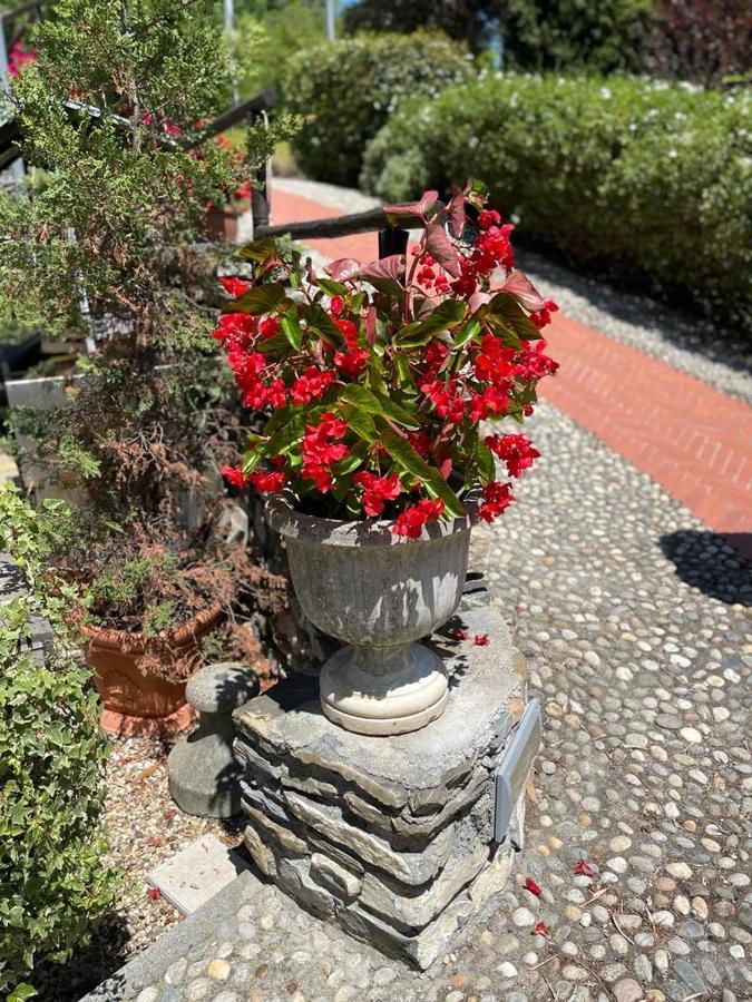 Agriturismo A Canonica Garlenda Buitenkant foto